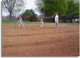 The Kids in Grandma's Garden