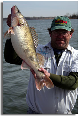 State Record Saugeye