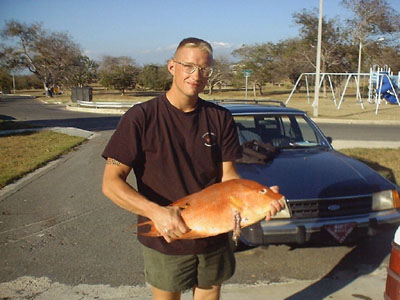 spearfishing Hogfish