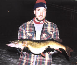 Pennsylvania Chain Pickerel