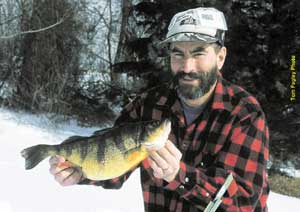 Pennsylvania State Record Yellow Perch