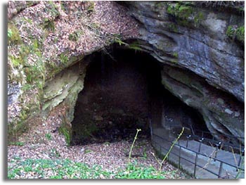 Mammoth Cave Entrance