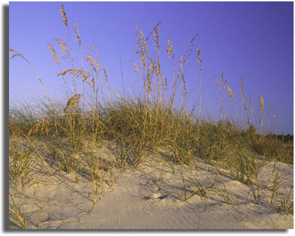 Bon Secour National Wildlife Refuge, Alabama